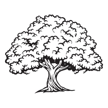 Vintage Oak Tree Illustration vector