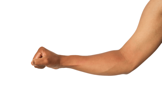 Brown Skin Arm Flexed Fist Studio Shot In Focus High Resolution Image No Watermarks No Defects Or png