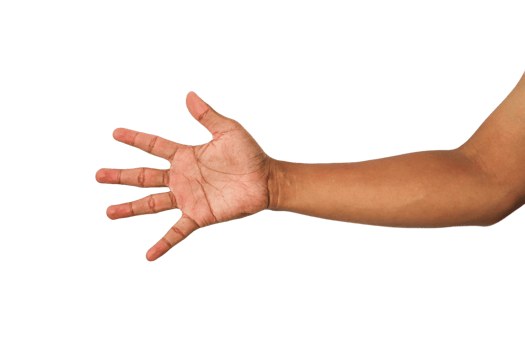 Outstretched Brown Hand On Transparent Backgrounds and Its Details description. png