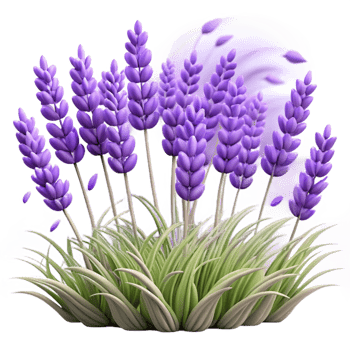 impressive rustic A field of lavender swaying in the wind, impressionist style, midday lighting premium png