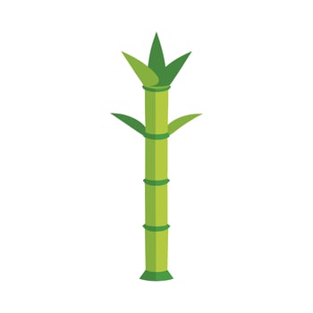Stylish Bamboo Shoots with Tall Thin Stems vector