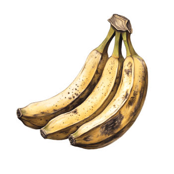 Bunch of Ripe Yellow Bananas on White Background png
