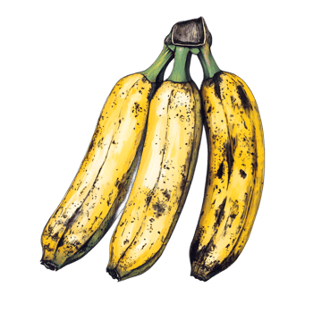 Vibrant Bunch of Ripe Bananas in Natural Setting png