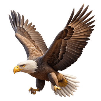 magnificent vintage A majestic bald eagle soaring through the sky, powerful and majestic, wildlife photography authentic png