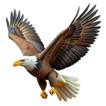 wonderful artistic A majestic bald eagle soaring through the sky, powerful and majestic, wildlife photography premium png