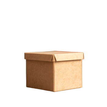 Brown Carton Box Isolated png