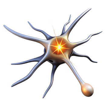 dramatic traditional A single, isolated neuron firing electrical impulses, bright white light, scientific illustration style original png