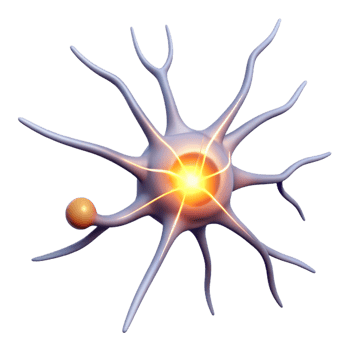 beautiful rustic A single, isolated neuron firing electrical impulses, bright white light, scientific illustration style high resolution png