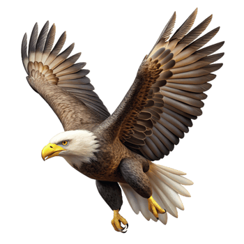 impressive abstract A Majestic Bald Eagle Soaring Through genuine png