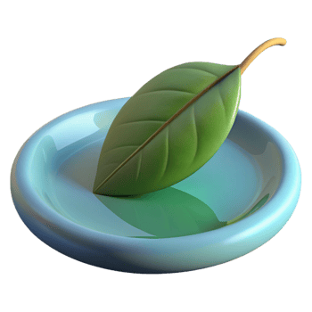 wonderful contemporary A single leaf floating on the surface of a still pond, soft lighting, minimalist style professional png