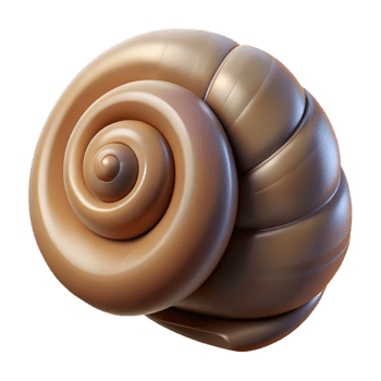 wonderful abstract A Close Up of a Snail S Shell genuine png