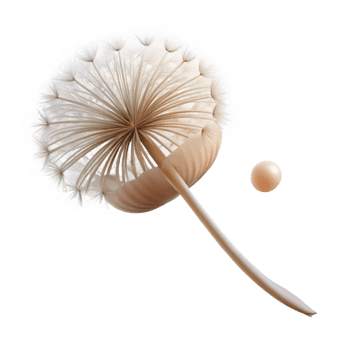 magnificent creative A single dandelion seed floating in the air, soft backlighting, macro photography 4K png
