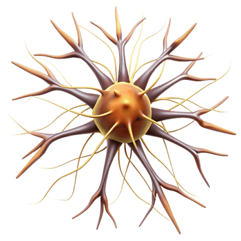 magnificent traditional A single human neuron firing, intricate connections and electrical impulses, scientific illustration style 4K png