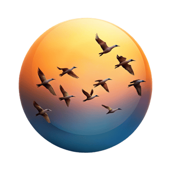 dramatic classic A group of migrating birds flying in formation against a sunset sky, serene, peaceful, nature photography high quality png