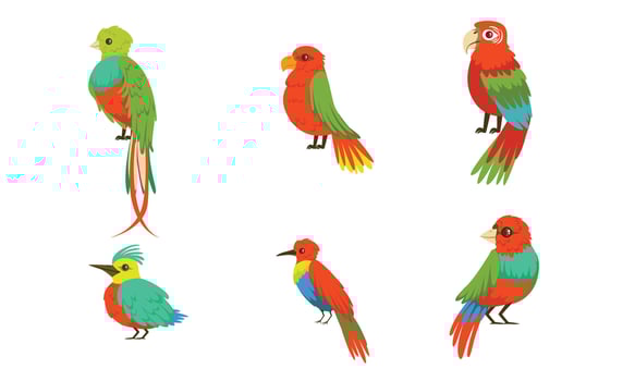 Different Birds With Bright Colorful Plumage Illustration Set Cartoon Character vector