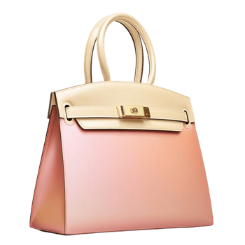 ombre handbag with a design and gold accents png