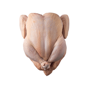 Chicken uncooked isolated close up png