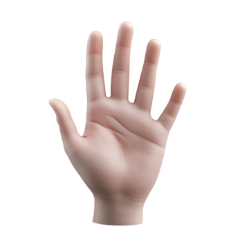Transparent 3D Hand Rendering on Clean White Background png