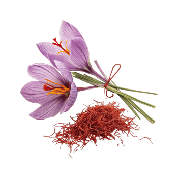 Saffron on transparent background png