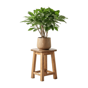 A green plant on a wooden tool png