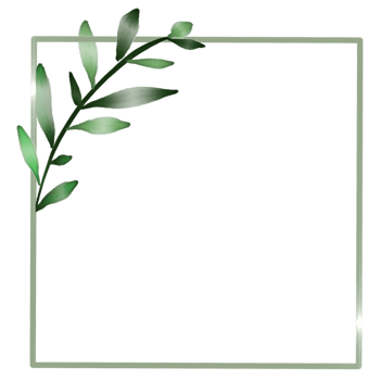 Green square frame with a simplistic branch and leaves png