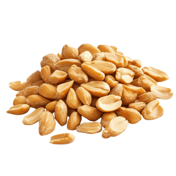 High Protein Peanuts Snack Close Up on transparent background. png