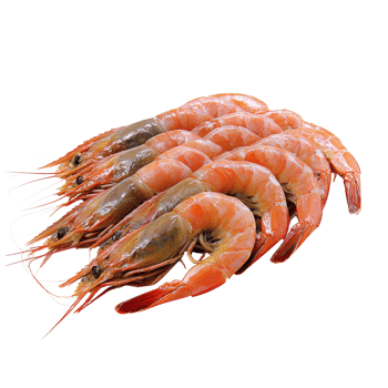 Fresh Cooked Shrimp Seafood Dish on transparent background. png