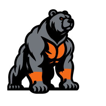 A bear with orange and black stripes on its back png