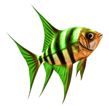 Colorful Tropical Fish with Stripes Swimming in Bright Ocean Water png
