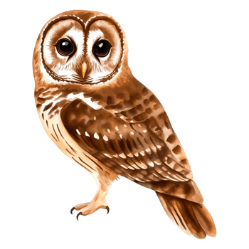 Realistic illustration of a beautiful brown owl in detailed style png