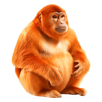 Detailed View of a Curious Orange Monkey Sitting on the Ground png