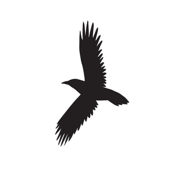 Hand drawn doodle sketch flying ravens vector
