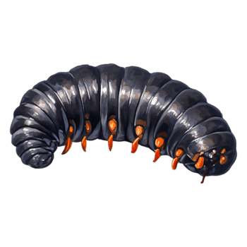 Detailed illustration of a unique caterpillar with bright features png