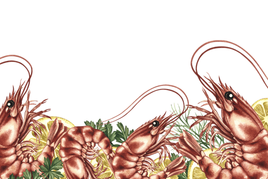A banner frame with an image of shrimps and lemons. A hand-drawn watercolor illustration. A color template featuring seafood and vegetables. For menus, recipe, packages, labels. png