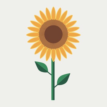 A sunflower is shown on a white background vector