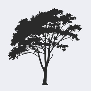 A black silhouette of a tree on a white background vector