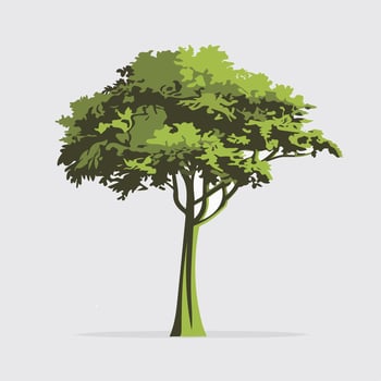 Minimalist Tree Illustration on a White Background vector