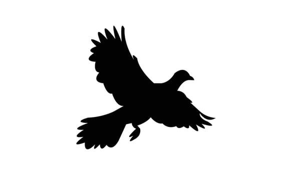 Flying African green pigeon bird Silhouette vector