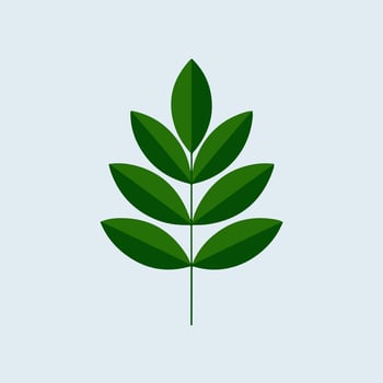 A green leaf icon on a white background vector