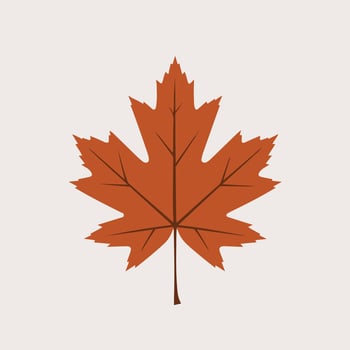 A maple leaf is shown on a white background vector