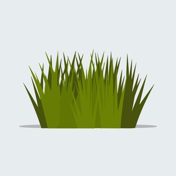 Green grass flat design illustration vector