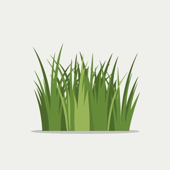 Green grass flat illustration vector