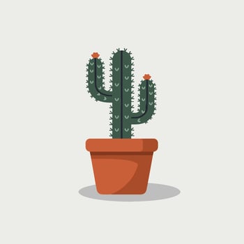 Cactus plant in pot on white background vector