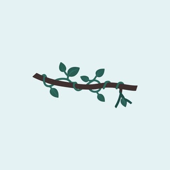 A branch with leaves on it and a green leaf vector