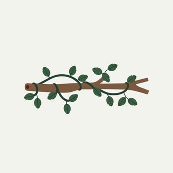 A branch with leaves on it, with a white background vector