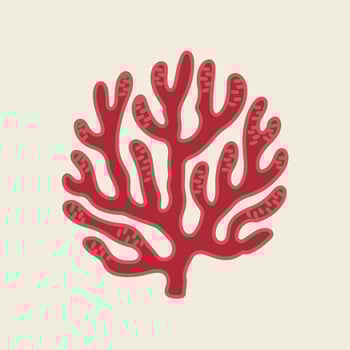 Red coral on a white background vector