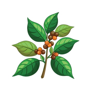 Delicious Coffee Arabica Ready for Harvest vector
