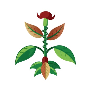 Beautiful Corkscrew Plant Enhancing Indoor Space vector