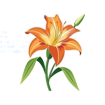 Stunning Daylily Hemerocallis Blooms in Garden vector