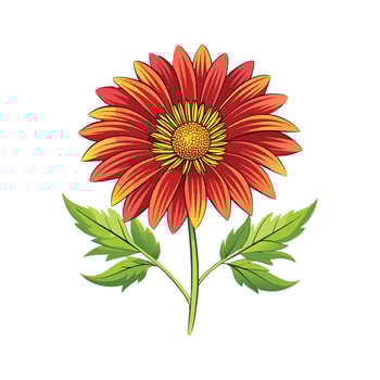 Stunning Gaillardia Flower Design vector